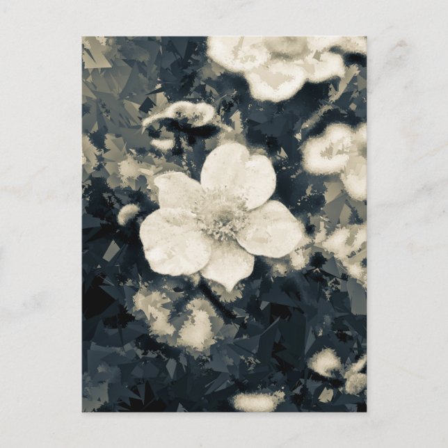 Moody Anemone Flower Botanical Art Postcard (Front)