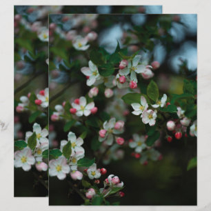 Moody apple tree blooms Scrapbook Paper