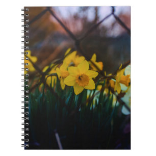 Moody Daffodils Fine Art Photo Spiral Notebook