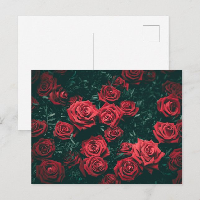 Moody Dark Red Roses Floral Pattern Background Postcard (Front/Back)