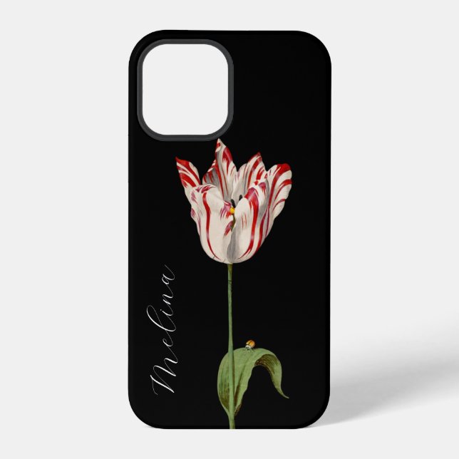 Moody Floral Chic Vintage Flower  iPhone Case (Back)