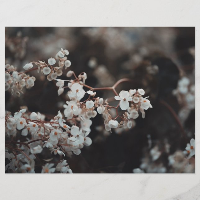 Moody Floral Scrapbook Paper (Front)