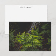 Moody forest ferns and custom name (for him)