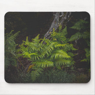 Moody green nature theme with ferns mouse pad