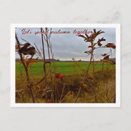 Moody Late Autumn: Red Rosehips and Green Field Postcard