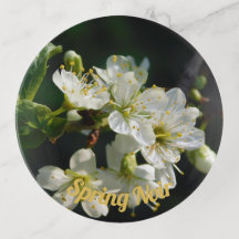 Moody Plum Blossom Macro | Dark Botanical Tray