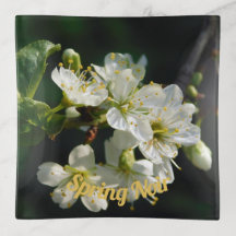 Moody Plum Blossom Macro | Dark Botanical Tray