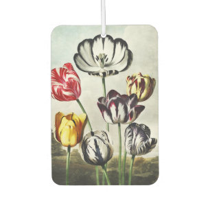Moody Regency Style Multi-Colour Tulips Air Freshener