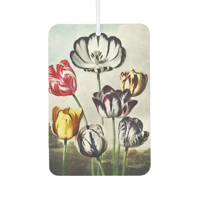 Moody Regency Style Multi-Colour Tulips Air Freshener (Front)