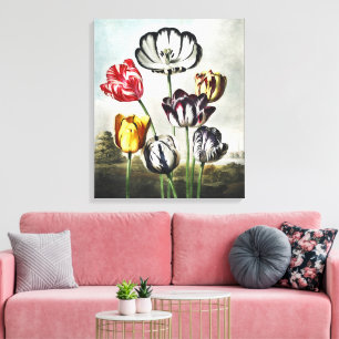 Moody Regency Style Multi-Colour Tulips Canvas Print