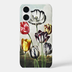 Moody Regency Style Multi-Colour Tulips iPhone 16 Case