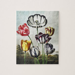 Moody Regency Style Multi-Colour Tulips Jigsaw Puzzle