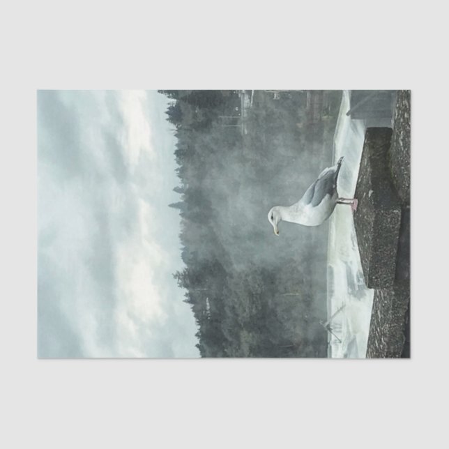 Moody Seagull Decoupage Paper (Front)