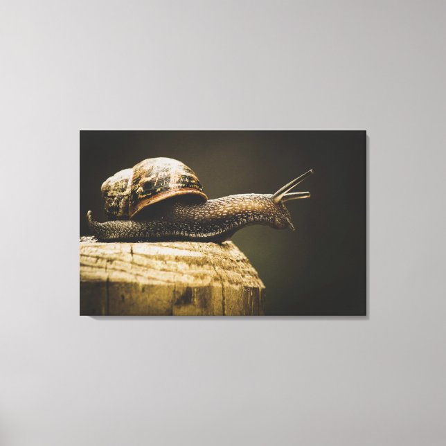 Moody Snail, Slow Down, Canvas art print (Front)