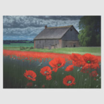 Moody Weather Barn and Poppies