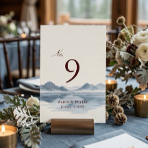 Moody Winter Mountain Wedding
