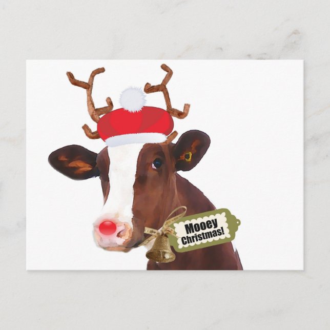 Mooey Merry Christmas Reindeer Cow Holiday Postcard (Front)