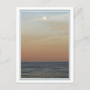 Moon and Bird Over the Ocean Postcard