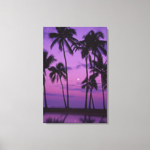 Moon and Palm Tree Canvas Print