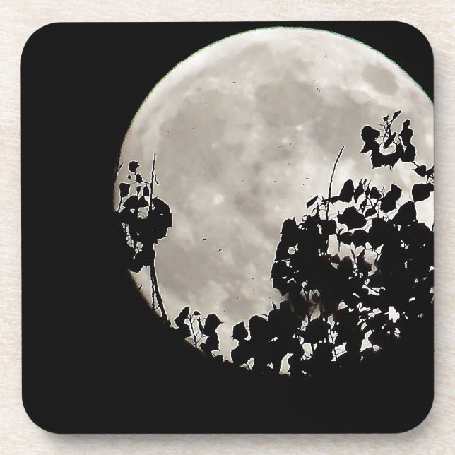 Moon behind dark leaves coaster (Front)