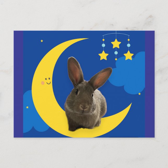 Moon Bunny Postcard (Front)