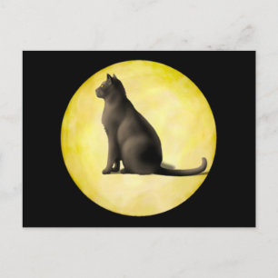 Moon Cat Postcard