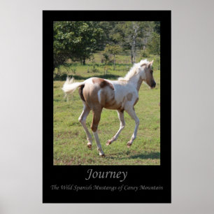 "Moon Dancer" poster - Journey