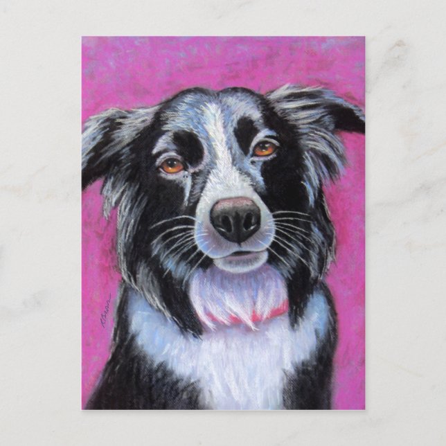 Moon Dog Border Collie Postcard (Front)