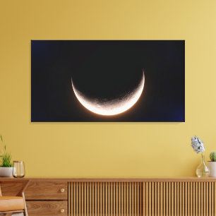 Moon Dream Canvas Print