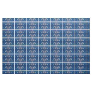Moon Fabric