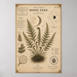 Moon Fern Victorian Botanical Museum Print