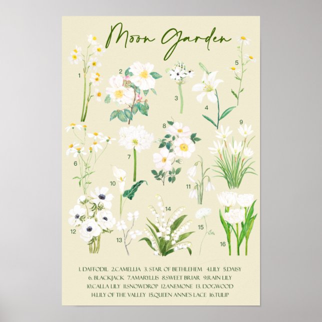 Moon garden watercolor with background poster (Front)