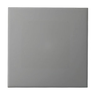 Moon Grey Solid Colour  Tile