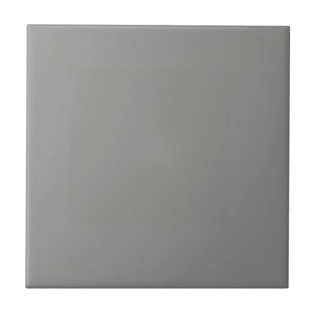 Moon Grey Solid Colour  Tile (Front)
