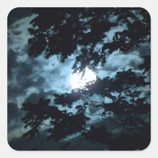 Moon Illuminates the Night behind Tree Branches Square Sticker (Front)