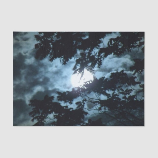 Moon Illuminates the Night behind Tree Branches Tissue Paper (Front)