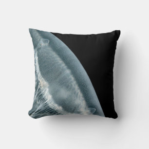 Moon Jellyfish and White Nudibranch Pillow
