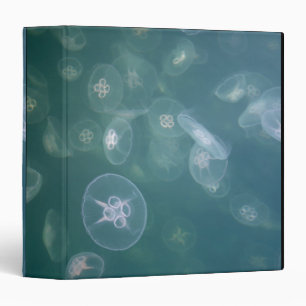 Moon jellyfish binder