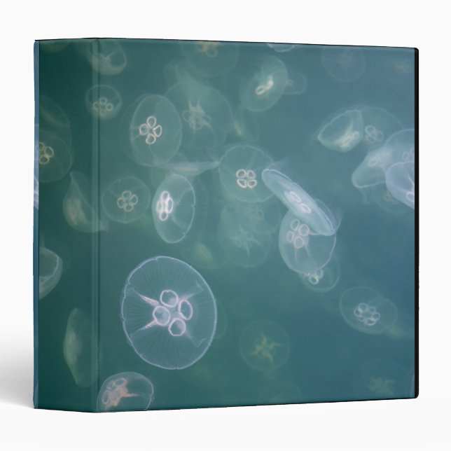 Moon jellyfish binder (Front/Spine)