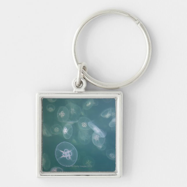Moon jellyfish keychain (Front)