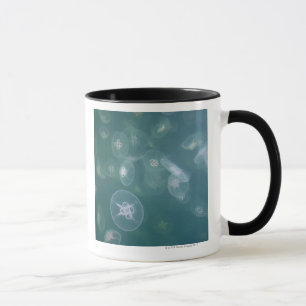 Moon jellyfish mug