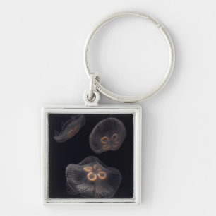 Moon Jellyfish Swimming Keychain