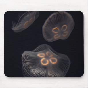 Moon Jellyfish Swimming Mouse Pad