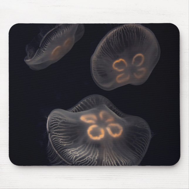 Moon Jellyfish Swimming Mouse Pad (Front)