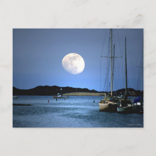 Moon Light Harbour Postcard