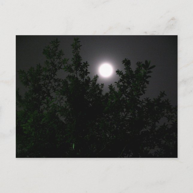 Moon light postcard (Front)