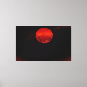 Moon Night Canvas Print