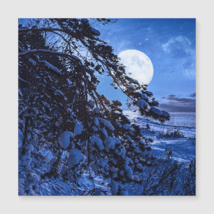 Moon over snowy fir tree and sea coast at night