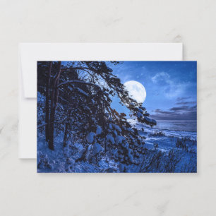 Moon over snowy fir tree and sea coast at night