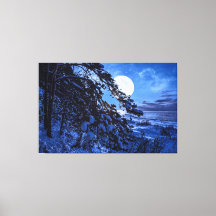 Moon over snowy fir tree and sea coast at night